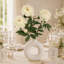 Tige de pivoine-381641603-271721969