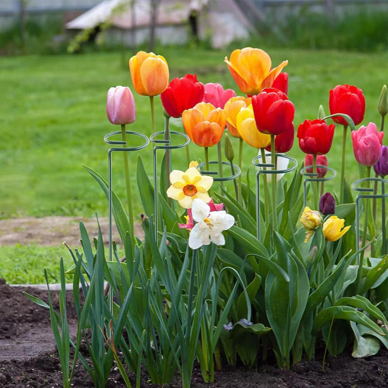 Paquet de 24 piquets de plantes décoratifs en métal de 16 pouces, cerceaux de fleurs à tige simple, support de jardin pour roses, tomates et orchidées