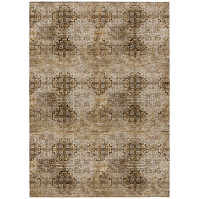 Caseville Washable Floral Indoor / Outdoor Rug