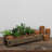 Adalbero Wood Caddy with Clay Cups