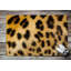 Non-Slip Animal Print Outdoor Doormat