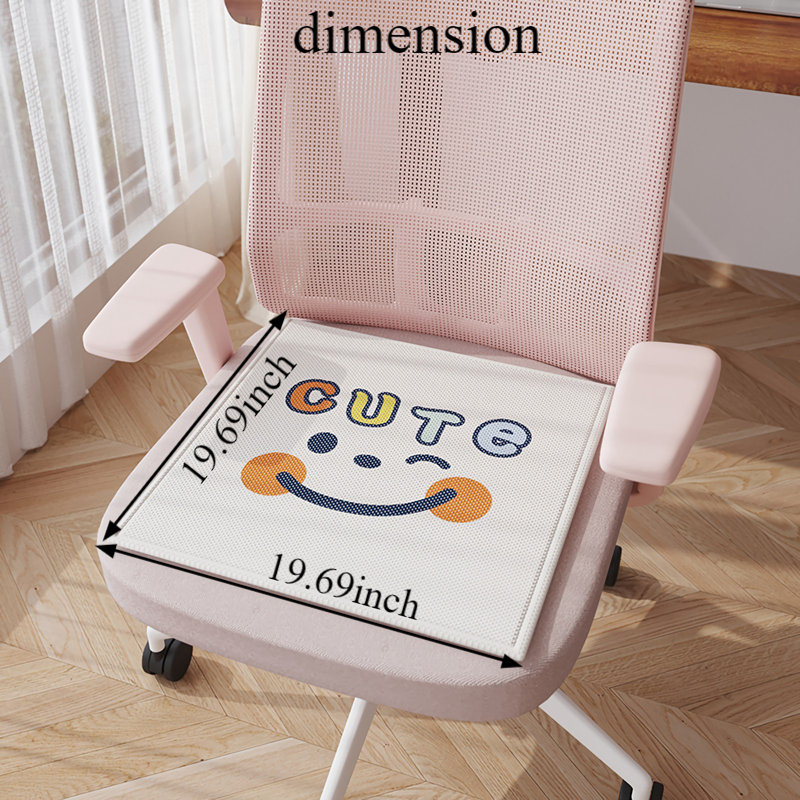 Coussin de chaise
