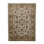 Wool Oriental Area Rug in Gold