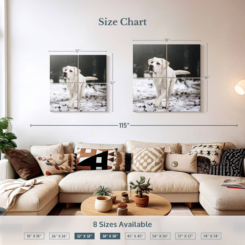 Brampt Labrador Retriever, H 38 po x l 38 po
