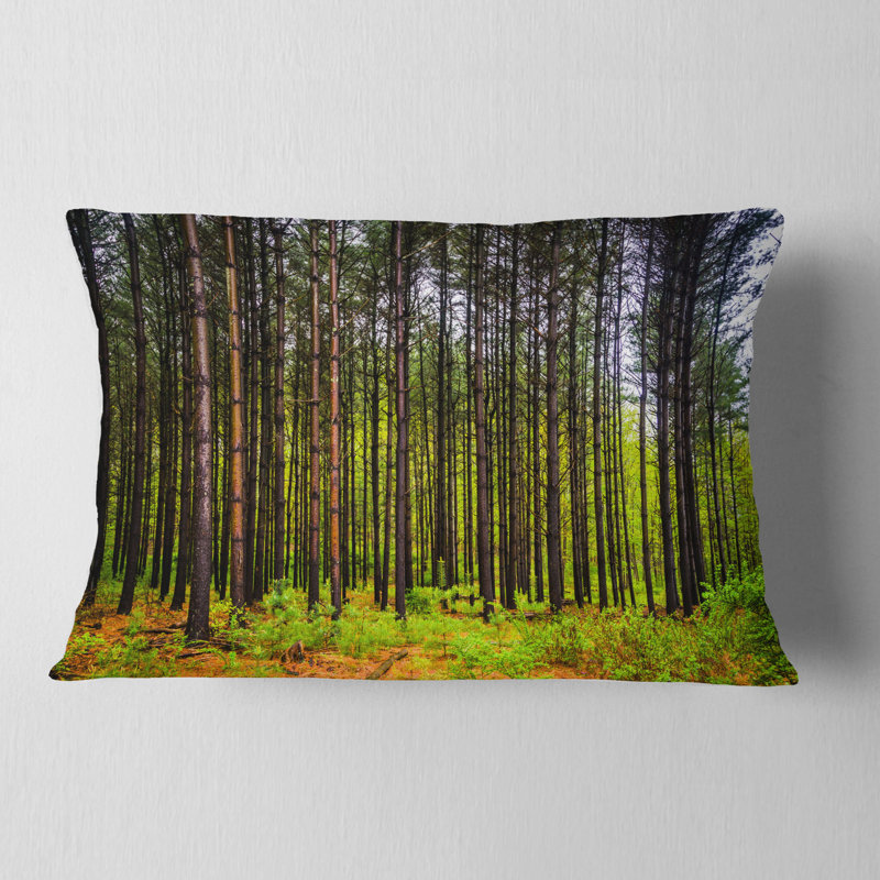 Pin dans la forêt de Michaux - Coussin décoratif imprimé forêt, Rectangle, 12 po x 20 po