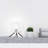 11.5" H Libby Black Tripod Table Lamp With A Clear Textured Glass Globe Shade - George Oliver