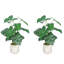 30 po Alocasia artificiel avec pot blanc (ensemble de 2)