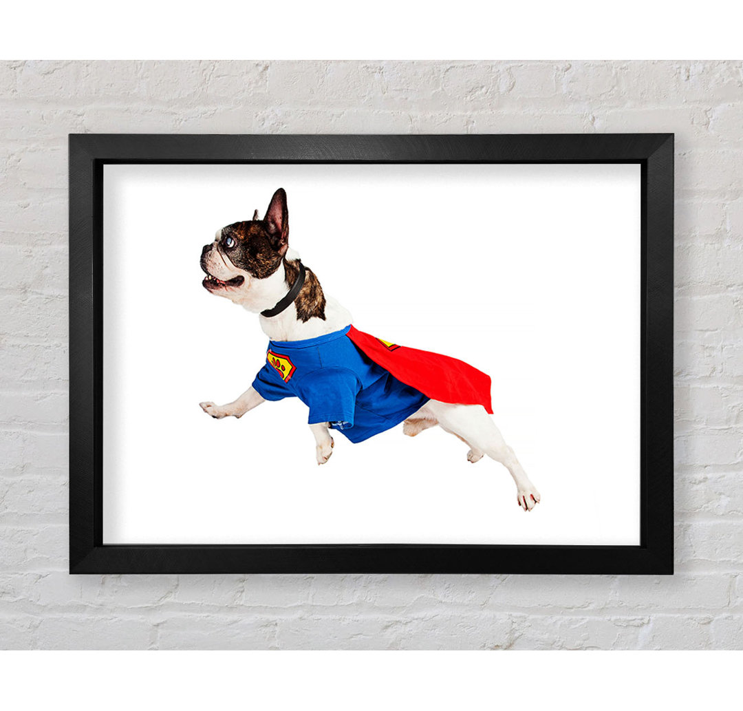 Chadha Super Dog Gerahmter Druck Wandkunst