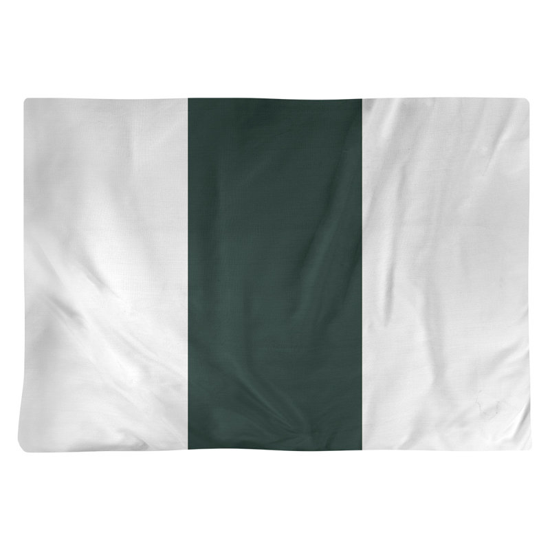 Récapitulatif 18" à rayures de football Green Bay, Blanc / Vert