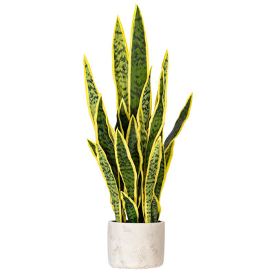 Faux Snake Plant in Cement Pot