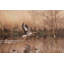 «Fly Away» par Martin Podt - impression-1172929873-1199832538