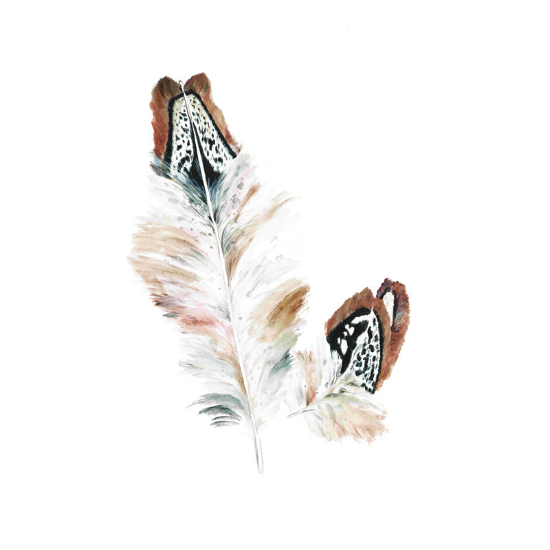 Plume aquarelle, H 18 po x l 12 po