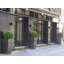Planter-1521349568-1521349594