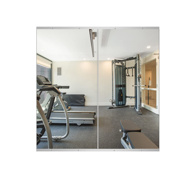 Full Length Rectangle Wall Mirror Home Gym Mirror Dance Studio Mirror with Tempered Glass, 47" x 23.5", Sliver