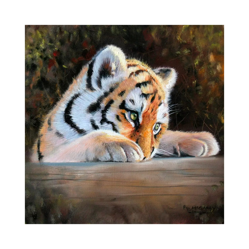 Tiger Cub Face by Pip McGarry - Wrapped Canvas Gallery-Wrapped Canvas Giclée, 30.48 cm H x 30.48 cm W
