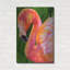  «Flamingo» par Tim Jeffs, art mural en métal, 24 po x 36 po-515882836