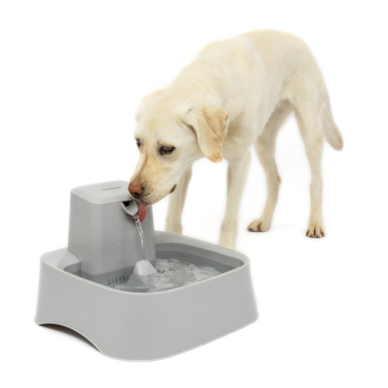 Drinkwell® Gallon Pet Fountain, 256 oz