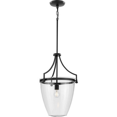 Luminaire suspendu simple à 1 lumière Aarren