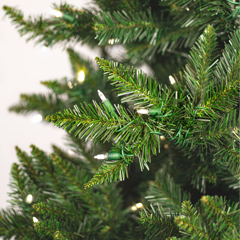 Camdon Lighted Artificial Fir Christmas Tree, 9.5' H x 66" W, Warm White
