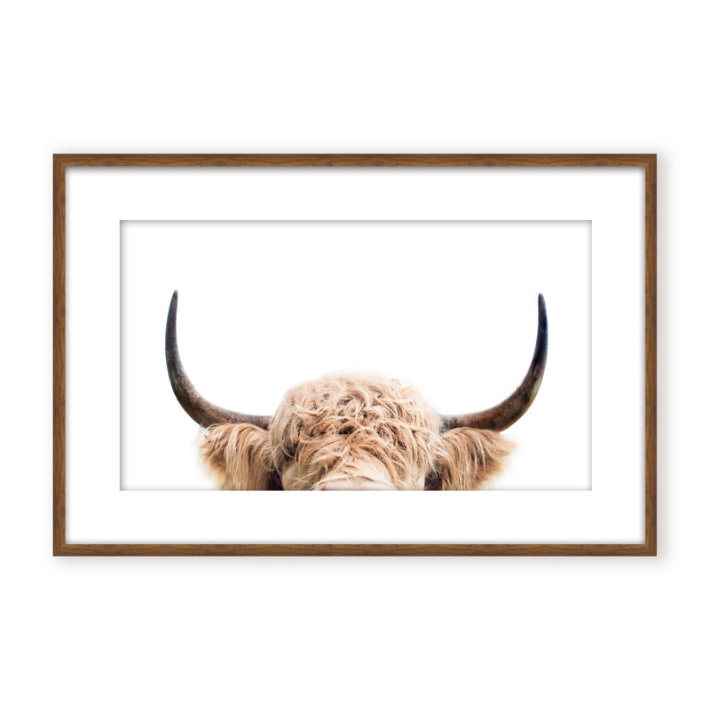 Nature Inspired Peeking Cow by  - Picture Frame Photograph on Paper, 16" H x 24" W x 1.125" D, Framed Print, Gold