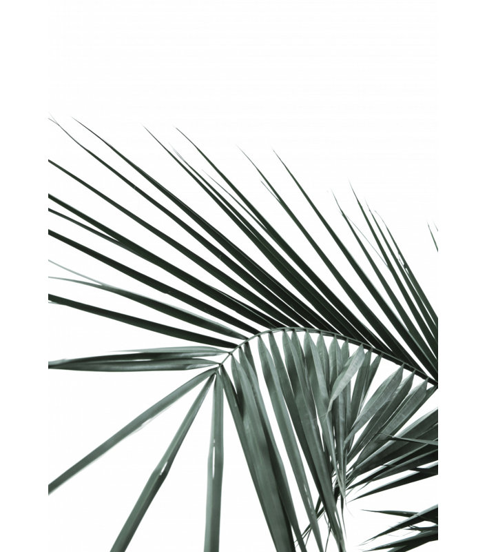 Wrapped Canvas Print, 60.96 cm H x 91.44 cm W