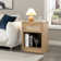 Dearbhaile 25'' 1 - Drawer Nightstand with Built-In Outlets