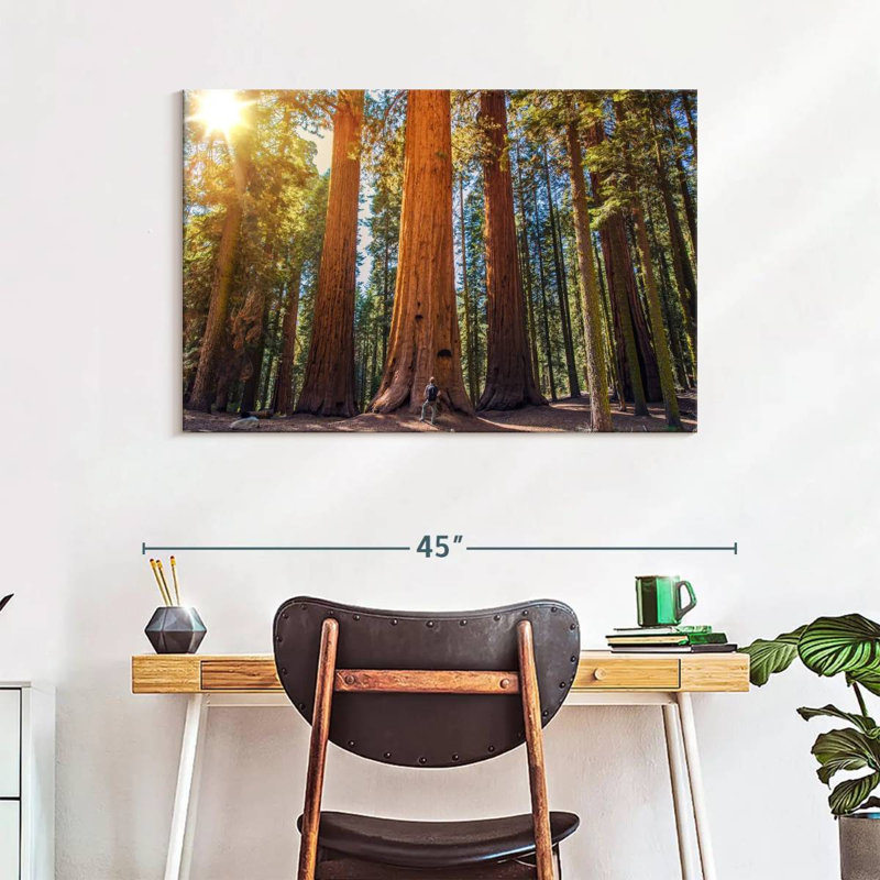 Harnek Giant Sequoia Trees, 26" H x 39" W