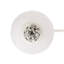 Leandra 1 - Light Pendant