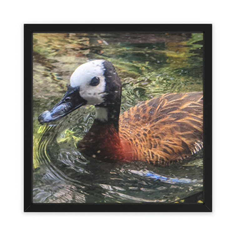 Latitude Run® Duck - Picture Frame Illustration | Wayfair