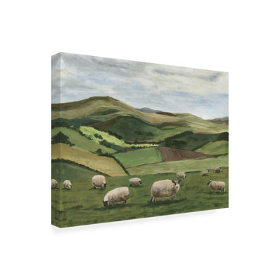 «Highland Sheep II» sur toile