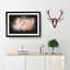 Light Pink Rose Paint Splash - Picture Frame Graphic Art-56865508-56865507