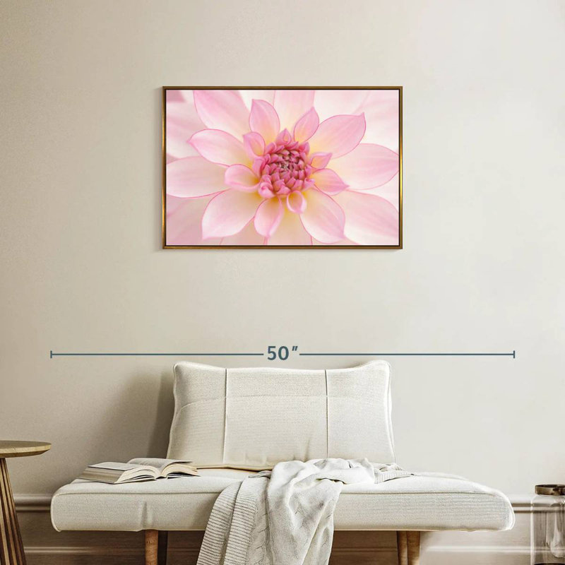 Pétales de dahlia rose clair, Cadre flottant doré, 31 po x 21 po