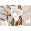 Lily 3 - Light Flush Mount