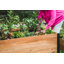 Lit de jardin surélevé en bois Mezza-399238552