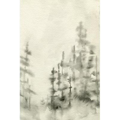 Foggy Pine Forest II by Emma Caroline - Wrapped Canvas Print