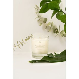 Fresh Scented Designer Candle (Set of 230)