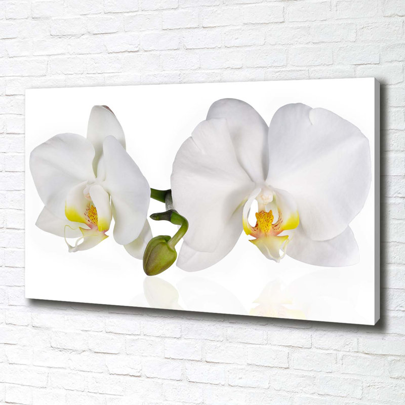 Orchid - Wrapped Canvas Print