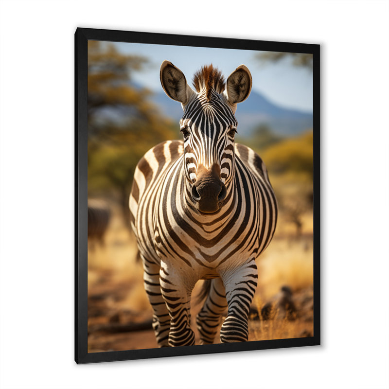 Reproduction sur toile, "Zèbre marchant en Afrique II", Cadre simple noir, H 20 po x l 12 po x P 1 po