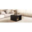 Table basse carrée pour le salon, table basse avec rangement, table centrale à 2 niveaux avec compartiment de rangement semi-ouvert de 30,8 po-759313623