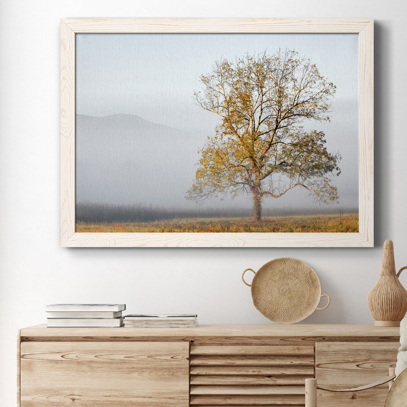 Cades Cove - Impression sur toile, Blanc, H 37,5 po x l 27,5 po x P 1,5 po