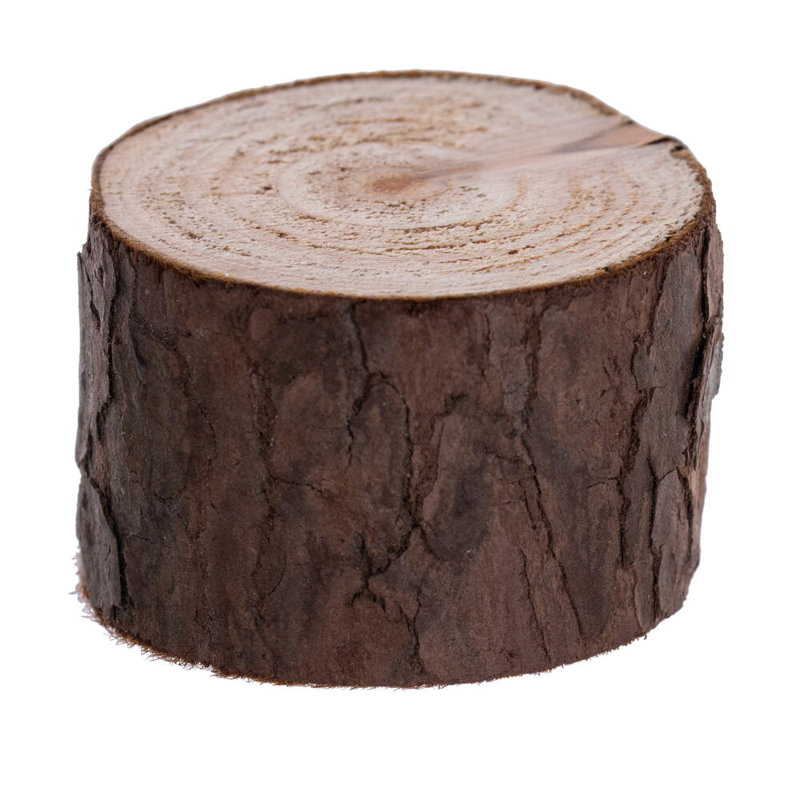 Mini pin 6 "avec base en bois 72 pointes