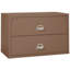 Fireproof 2 - Drawer File Cabinet-217293-331550