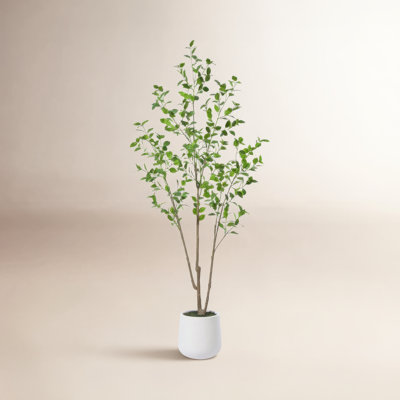 Aniston 84" Ficus Tree in Pot