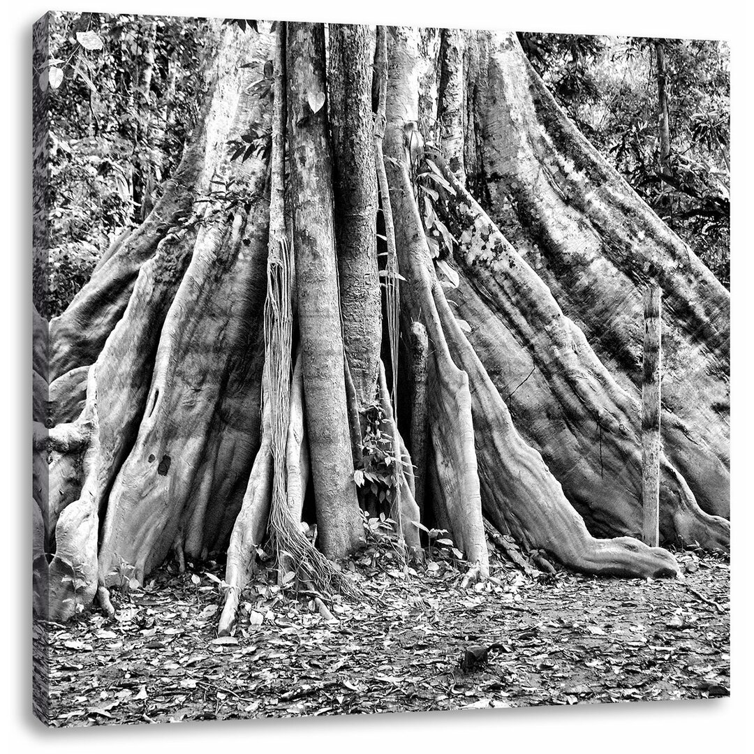 Leinwandbild Mächtiger Urwald Baum