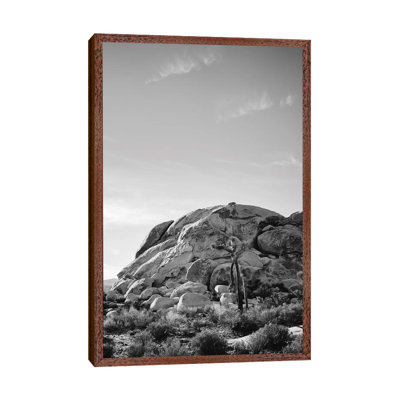 Joshua Tree National Park XV by Bethany Young - Print on Canvas