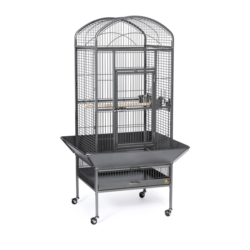 Large Black Dome Top Bird Cage with Stand