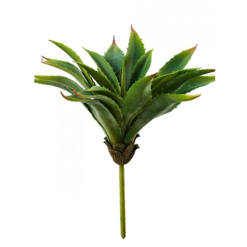 14'' Succulent Plant