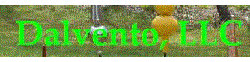 Dalvento, LLC logo