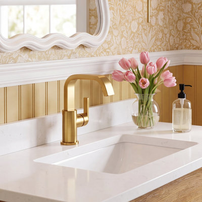 Single Hole Bathroom Faucet with Drain Assembly