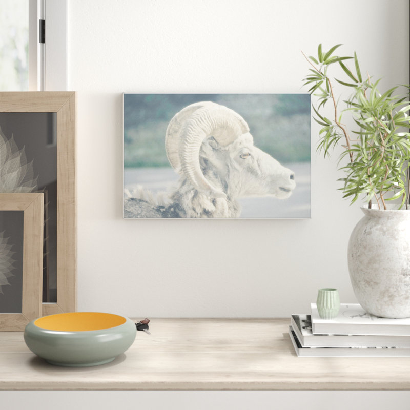Parvez Taj - Single Picture Frame Print, 41cm H x 61cm W x 3.81cm D